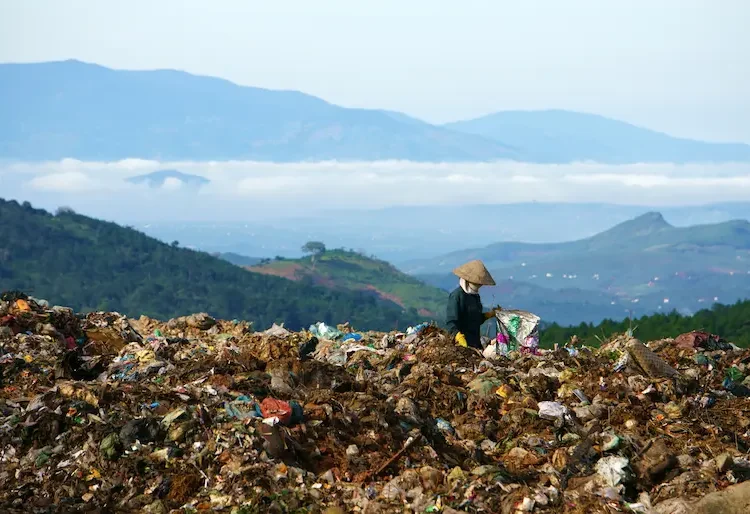 Responsible Supply Chain Management